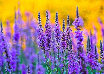 《最终幻想起源：天堂的陌生人》游戏舞台不夜城宣传片